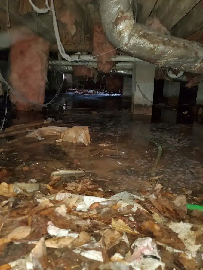 Crawl space flood assessment for Leak Detection & Repair in Half Moon Bay